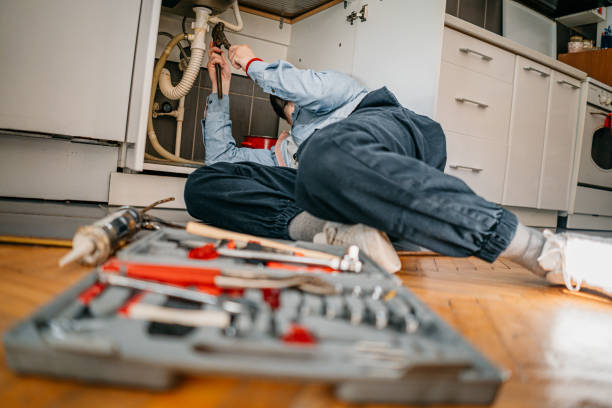 Best Drain Cleaning Services  in Kodi, AK