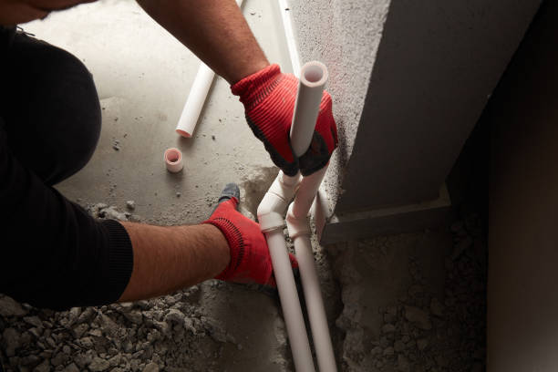 Best Plumbing Services Near Me  in Kodi, AK