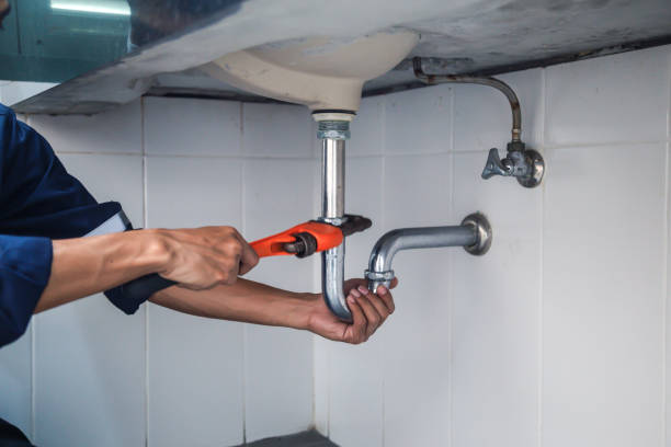 Best Plumbing Inspection Services  in Kodi, AK