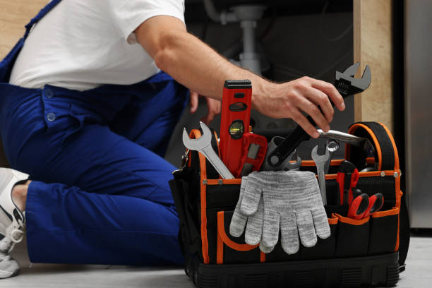 Best Local Plumber Services  in Kodi, AK