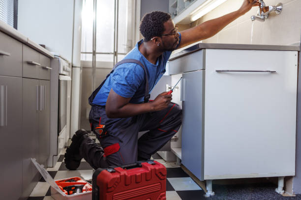 Best Affordable Plumbing Services  in Kodi, AK